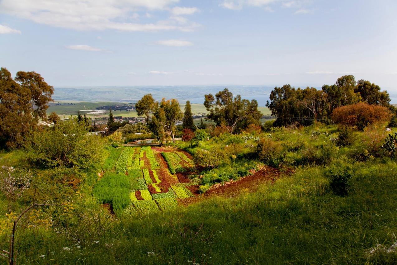 Mizpe Hayamim By Isrotel Exclusive Rosh Pinna Exteriör bild