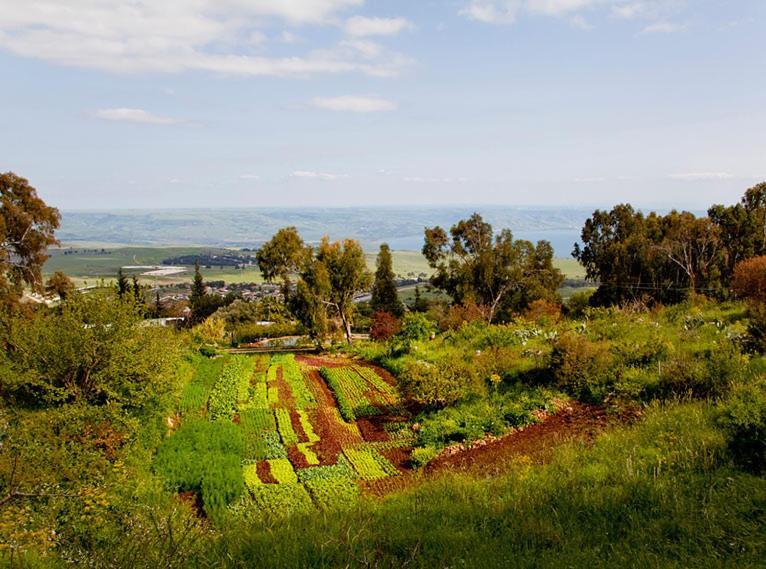 Mizpe Hayamim By Isrotel Exclusive Rosh Pinna Exteriör bild